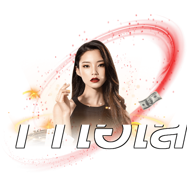 11ไฮโล